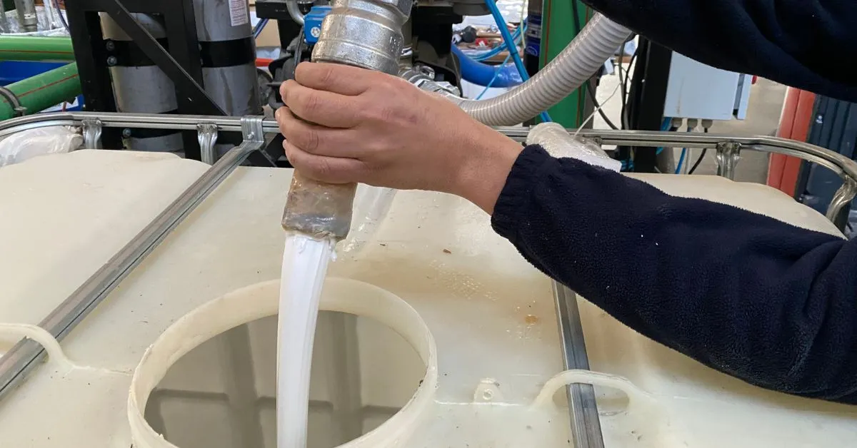 Clasificación de la cola blanca para madera Criterios para profesionales